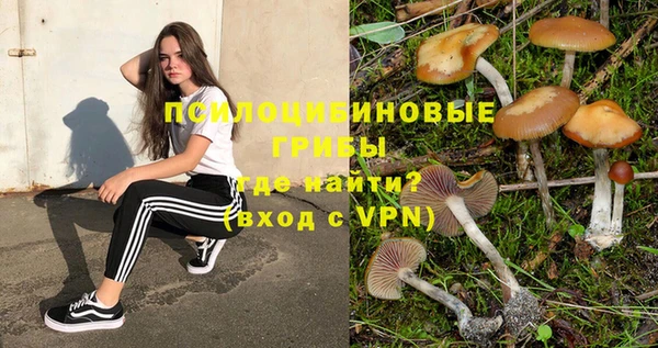 молекула духа Аркадак