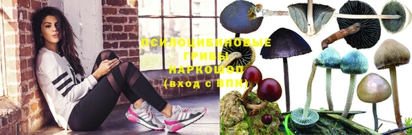 стафф Алексин