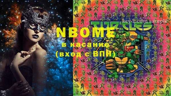 стафф Алексин