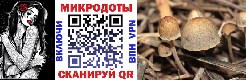 Галлюциногенные грибы ЛСД  гидра ТОР  Баймак 